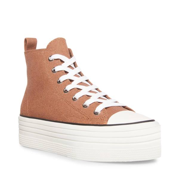 Steve Madden Berkley Mocha Sneakers Dam Beige | SM-734IB