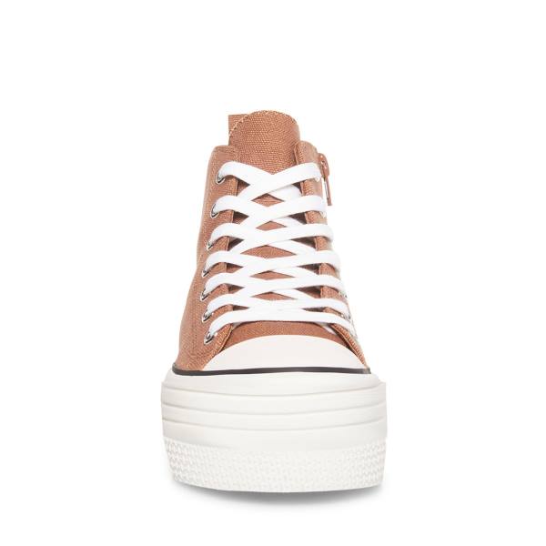 Steve Madden Berkley Mocha Sneakers Dam Beige | SM-734IB