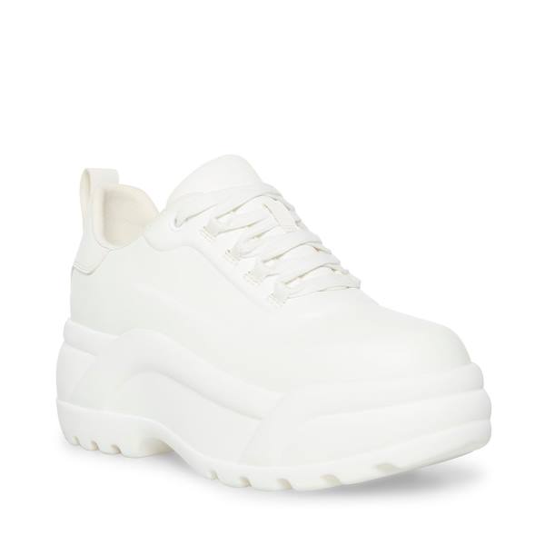 Steve Madden Briggs Sneakers Dam Vita | SM-267TV