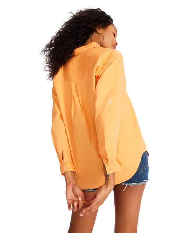 Steve Madden Bright Button Down Blast Dam Orange | SM-921UJ