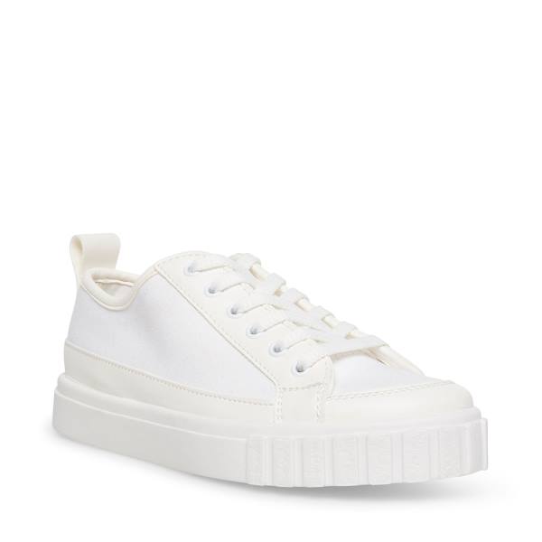 Steve Madden Caleb Sneakers Dam Vita | SM-904YL