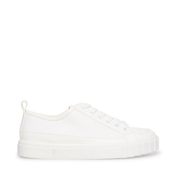 Steve Madden Caleb Sneakers Dam Vita | SM-904YL