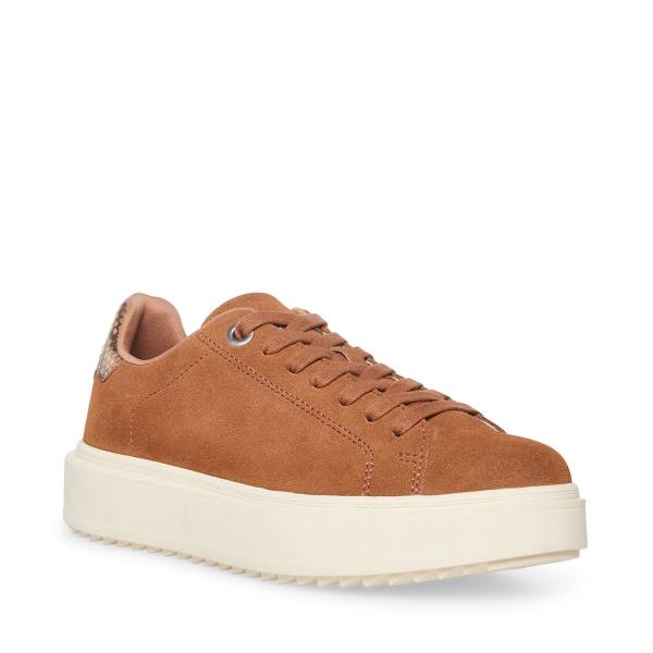 Steve Madden Catcher Mocha Sneakers Dam Beige | SM-678PF