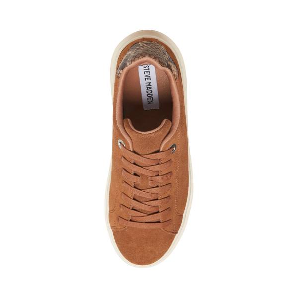 Steve Madden Catcher Mocha Sneakers Dam Beige | SM-678PF