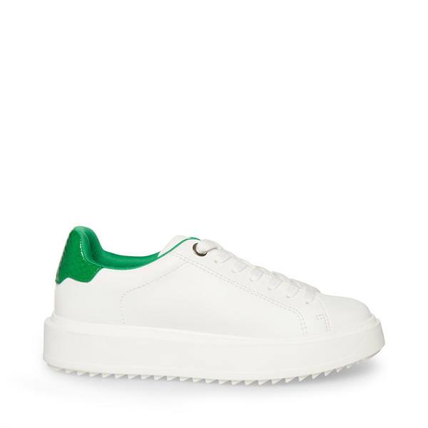 Steve Madden Catcher Snake Sneakers Dam Gröna Ormskinn | SM-872RY