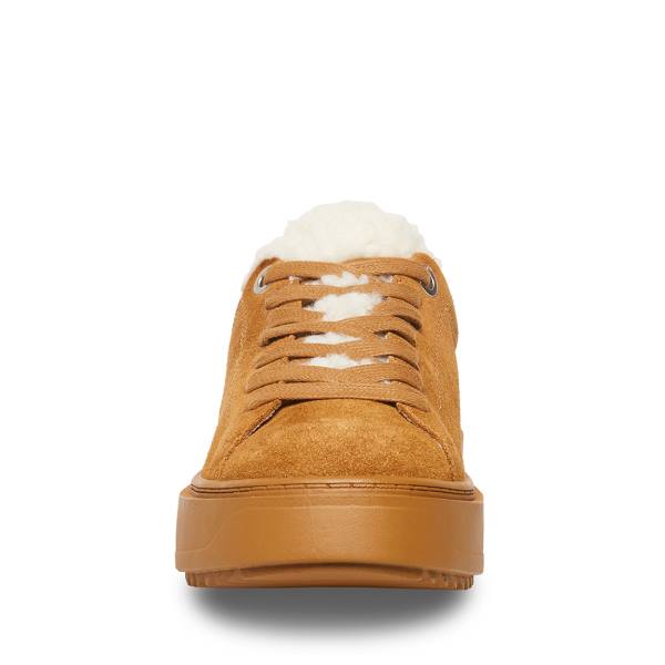 Steve Madden Catcher-f Chestnut Mocka Sneakers Dam Bruna | SM-537MF