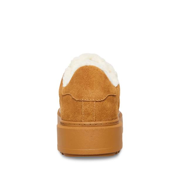 Steve Madden Catcher-f Chestnut Mocka Sneakers Dam Bruna | SM-537MF