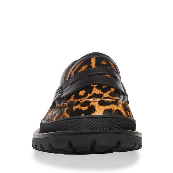 Steve Madden Charles Leopard Loafers Herr Leopard | SM-901JK