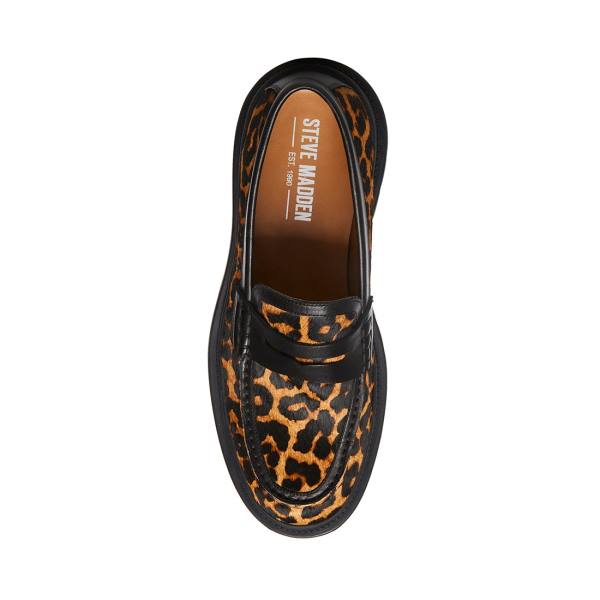 Steve Madden Charles Leopard Loafers Herr Leopard | SM-901JK