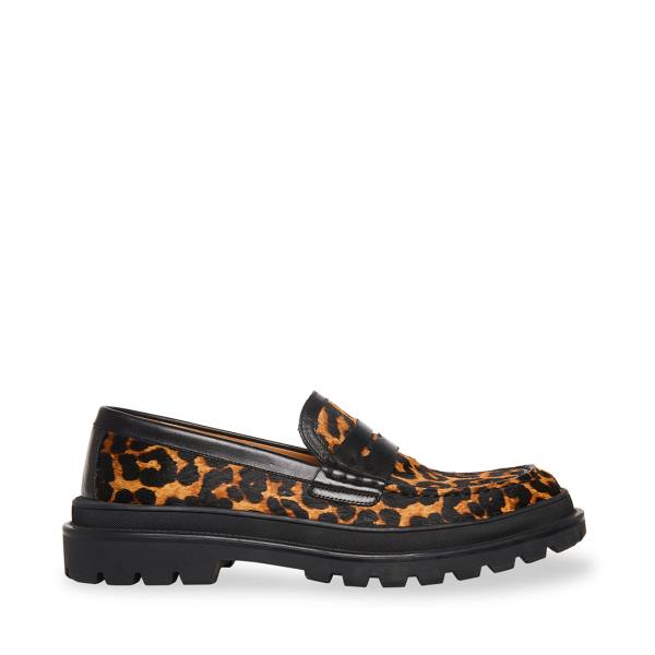 Steve Madden Charles Leopard Loafers Herr Leopard | SM-901JK