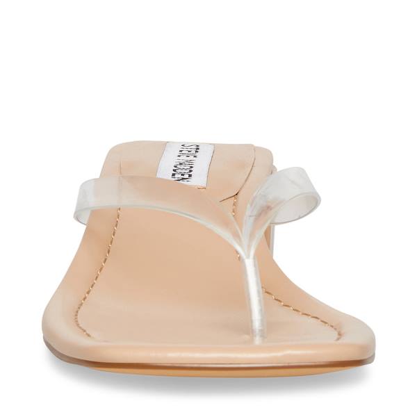 Steve Madden Claudette Sandaler Dam Clear | SM-349TS