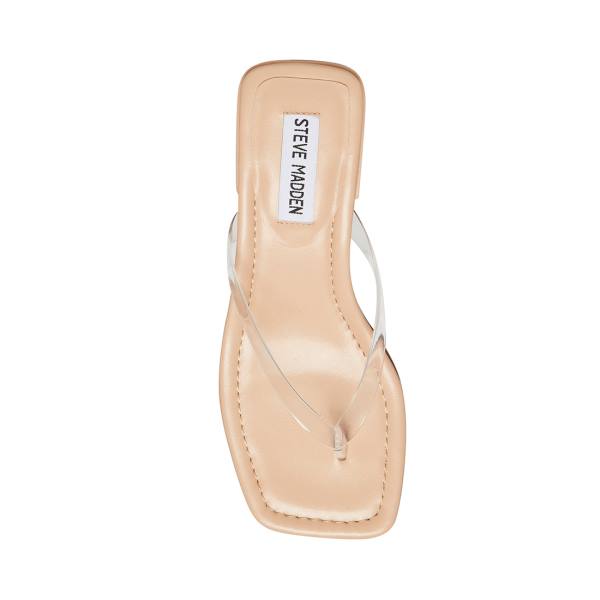 Steve Madden Claudette Sandaler Dam Clear | SM-349TS