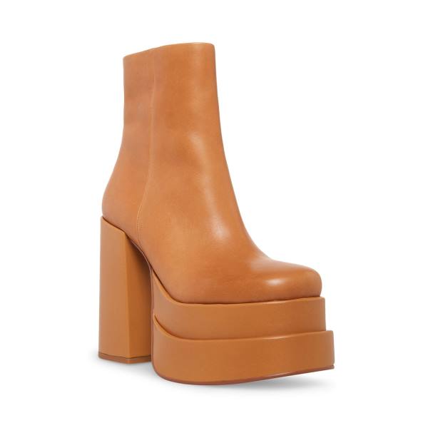 Steve Madden Cobra Tan Läder Kängor Dam Bruna | SM-182XO