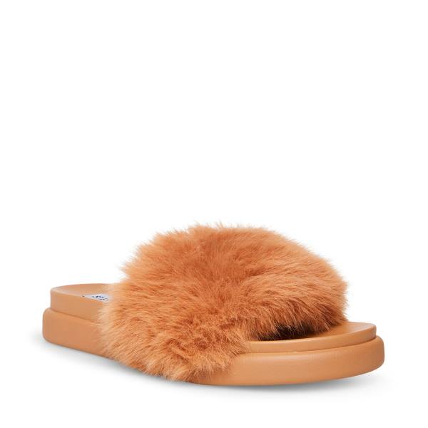 Steve Madden Delphina Tan Tofflor Dam Bruna | SM-578TQ