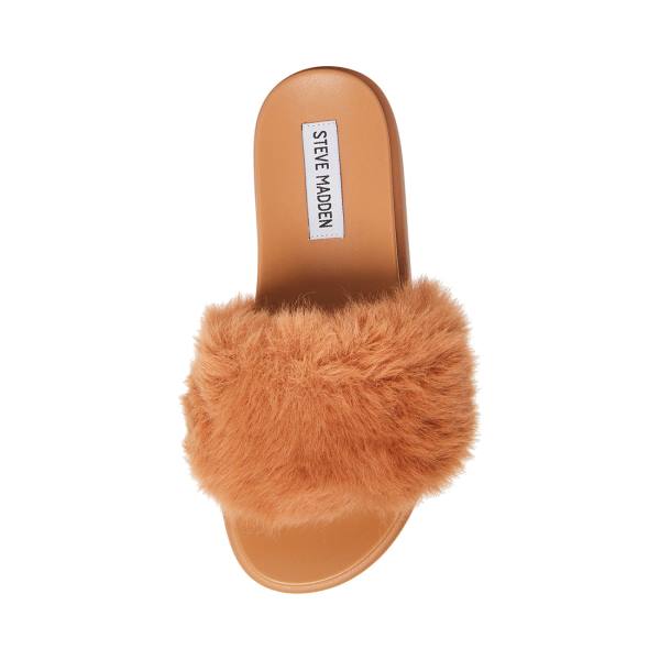 Steve Madden Delphina Tan Tofflor Dam Bruna | SM-578TQ