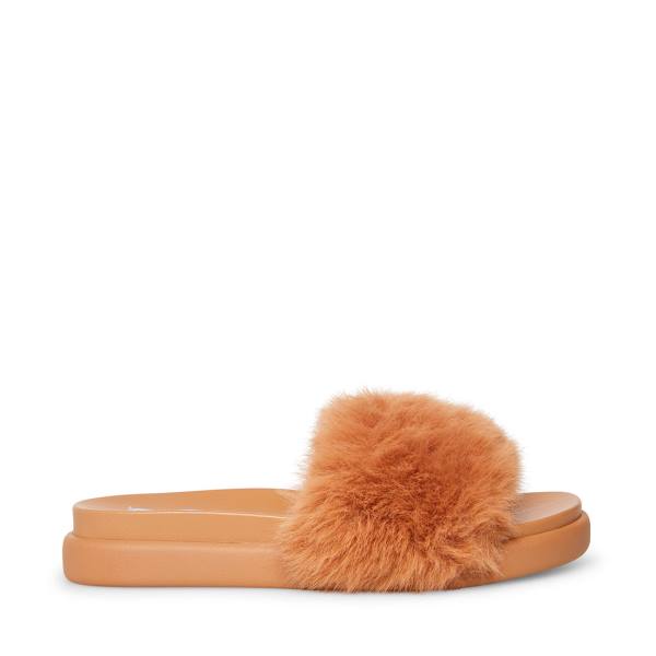 Steve Madden Delphina Tan Tofflor Dam Bruna | SM-578TQ