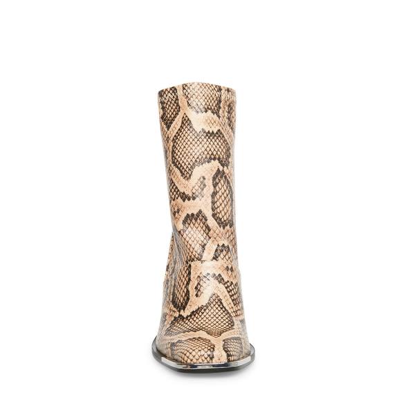 Steve Madden Excess Natural Snake Kängor Dam Beige Ormskinn | SM-189CL