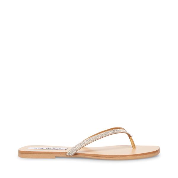 Steve Madden Fairlie-r Sandaler Dam Diamond | SM-507XD