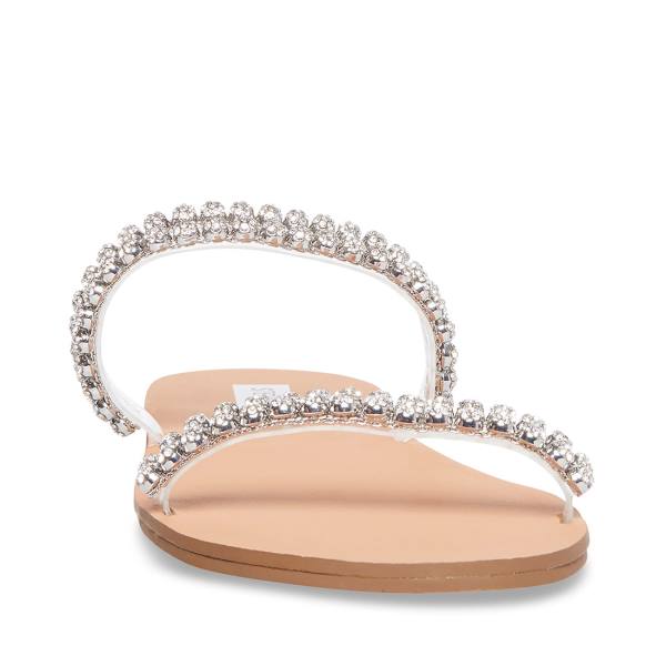 Steve Madden Felicia Sandaler Dam Clear | SM-695EQ