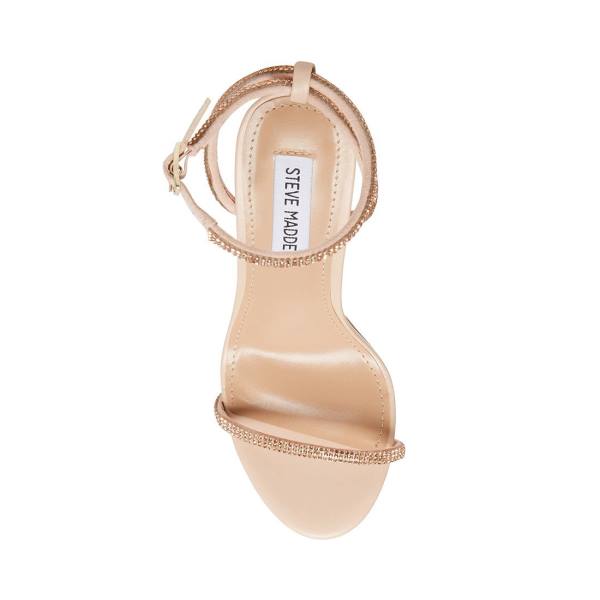 Steve Madden Festive Blush Heel Högklackade Skor Dam Rosa | SM-931VQ