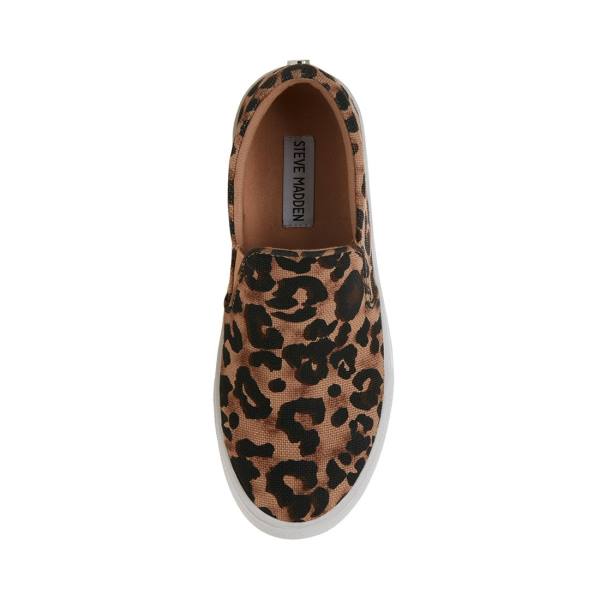 Steve Madden Gills-a Leopard Sneakers Dam Leopard | SM-864IQ