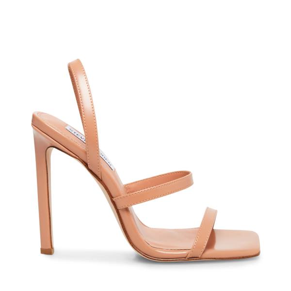 Steve Madden Grade Blush Lack Heel Högklackade Skor Dam Mörkrosa | SM-843LS