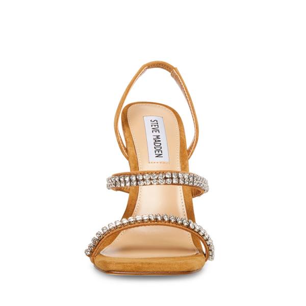 Steve Madden Grade-r Camel Heel Högklackade Skor Dam Bruna Olika Färger | SM-876TJ