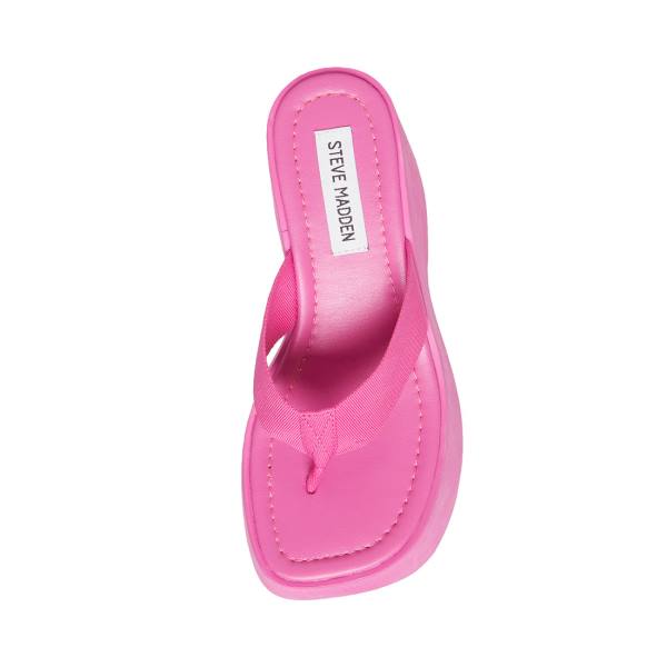 Steve Madden Gwen Sandaler Dam Rosa | SM-750XO