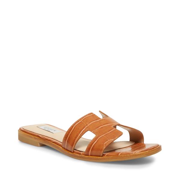 Steve Madden Hadyn Cognac Sandaler Dam Bruna Olika Färger | SM-489BM