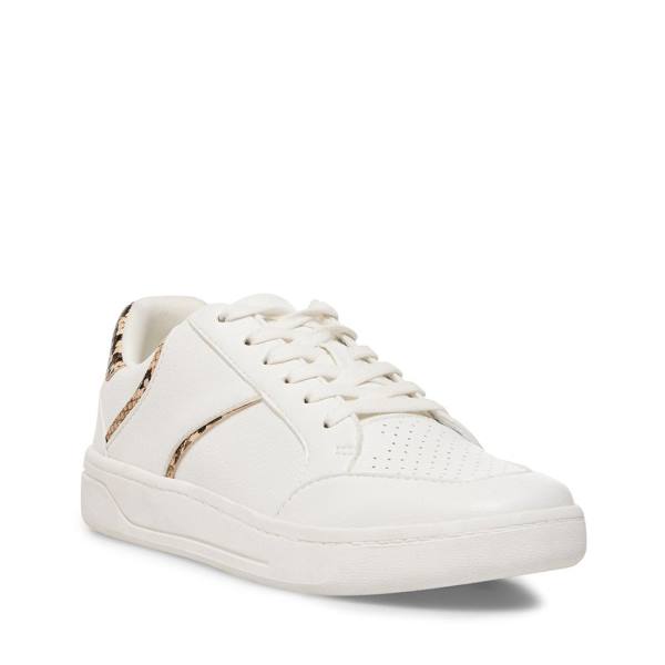 Steve Madden Harmonize Tan Snake Sneakers Dam Bruna Ormskinn | SM-465VG