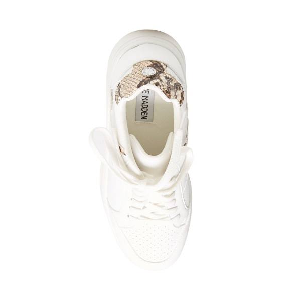 Steve Madden Harmonize Tan Snake Sneakers Dam Bruna Ormskinn | SM-465VG