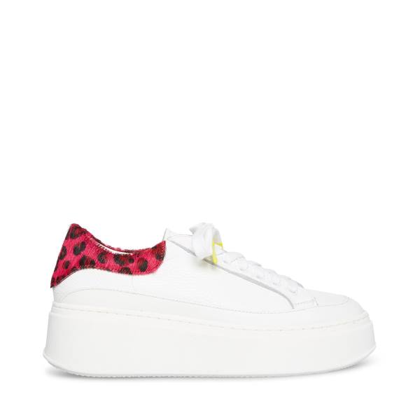 Steve Madden Ibby Fuschia Sneakers Dam Vita | SM-201YX