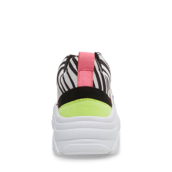 Steve Madden Jantonia Zebra Sneakers Barn Olika Färger | SM-471OY