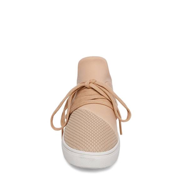 Steve Madden Jlancer Blush Sneakers Barn Rosa | SM-082RE