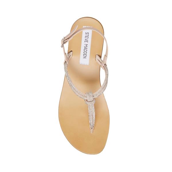 Steve Madden Judy Sandaler Dam Diamond | SM-329UC