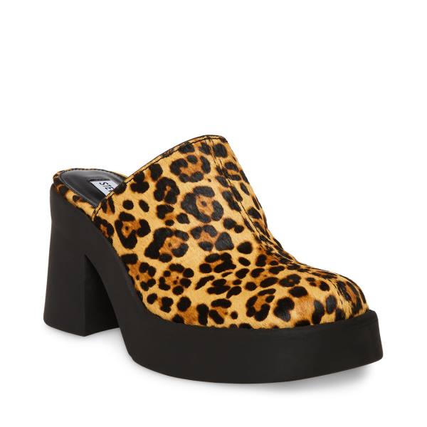 Steve Madden Kam Leopard Heel Högklackade Skor Dam Leopard | SM-250TE