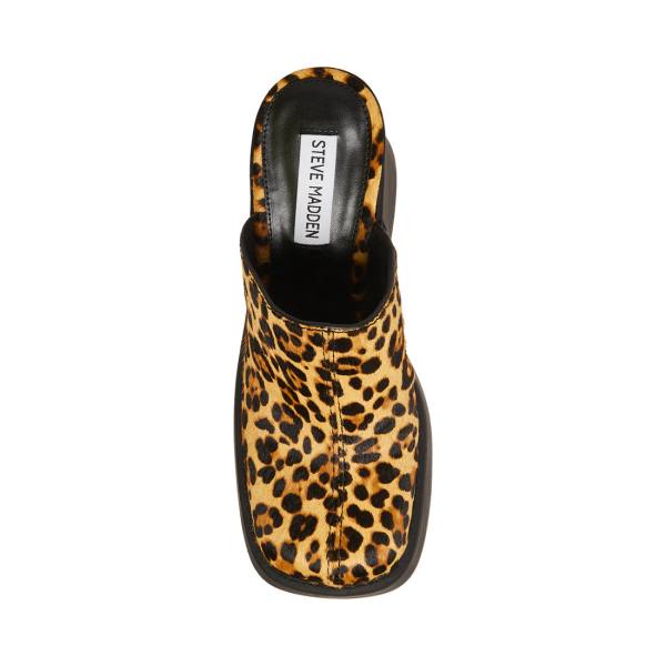 Steve Madden Kam Leopard Heel Högklackade Skor Dam Leopard | SM-250TE