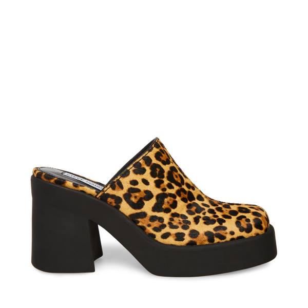 Steve Madden Kam Leopard Heel Högklackade Skor Dam Leopard | SM-250TE