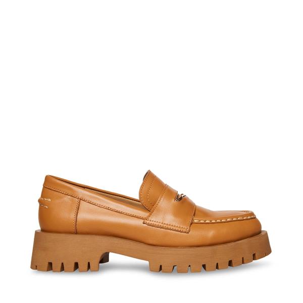 Steve Madden Lawrence Cognac Läder Loafers Dam Bruna | SM-236BX