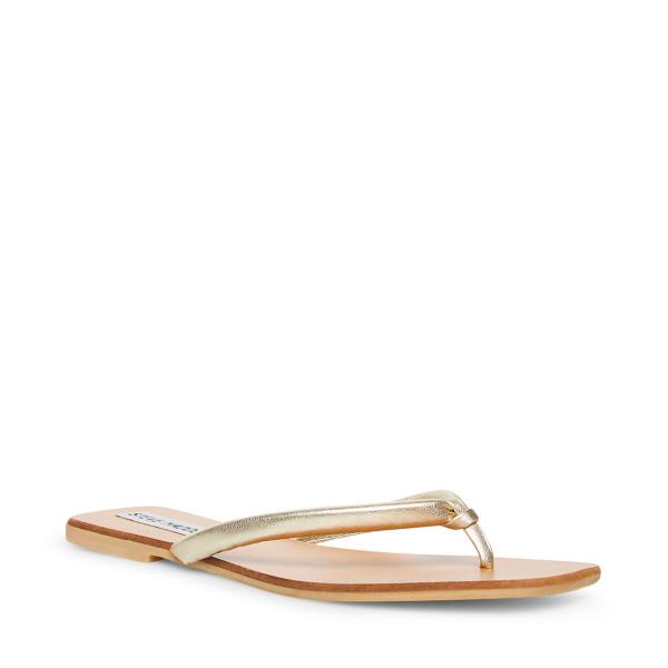 Steve Madden Lighthouse Sandaler Dam Guld | SM-690MR