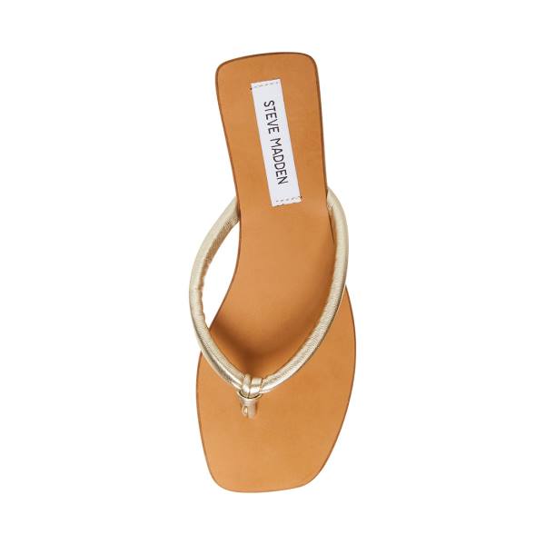 Steve Madden Lighthouse Sandaler Dam Guld | SM-690MR