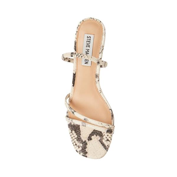 Steve Madden Loft Snake Heel Högklackade Skor Dam Beige Ormskinn | SM-259LU