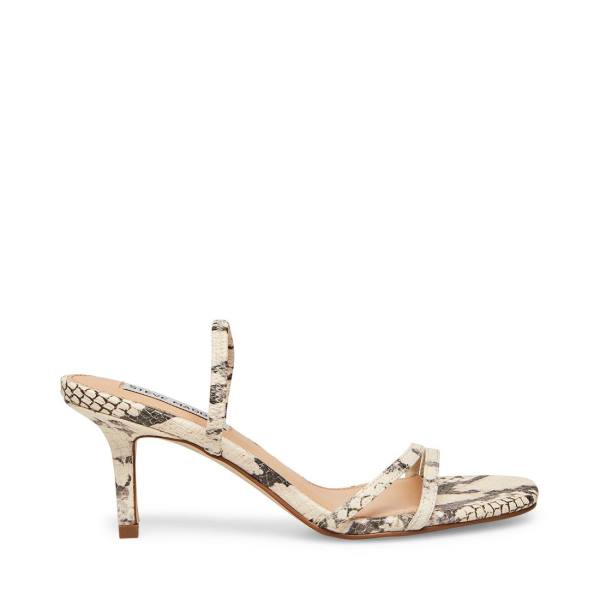 Steve Madden Loft Snake Heel Högklackade Skor Dam Beige Ormskinn | SM-259LU