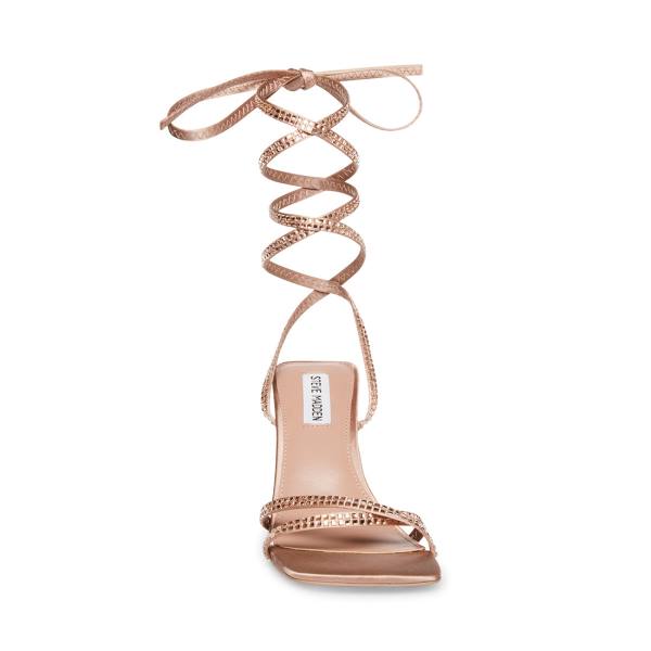 Steve Madden Lulie Blush Heel Högklackade Skor Dam Rosa | SM-623UK