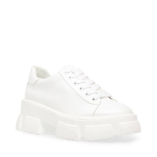 Steve Madden Michigan Sneakers Dam Vita | SM-824IK