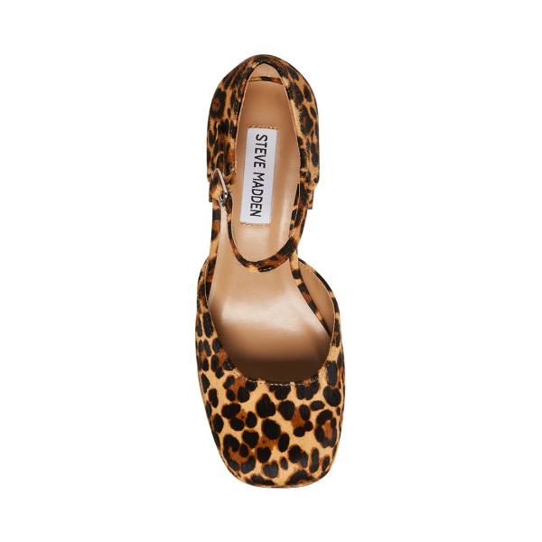 Steve Madden Mimi-l Leopard Heel Högklackade Skor Dam Leopard | SM-549KV