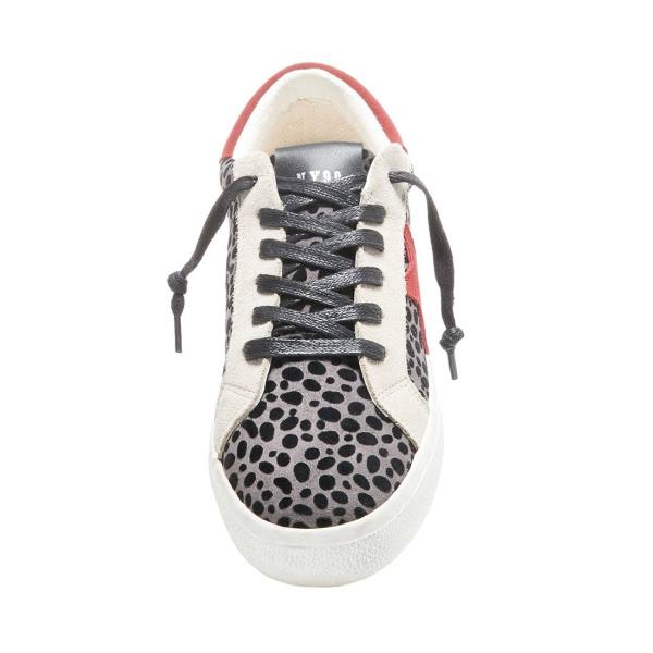 Steve Madden Philosophy Sneakers Dam Grå Olika Färger | SM-842WO