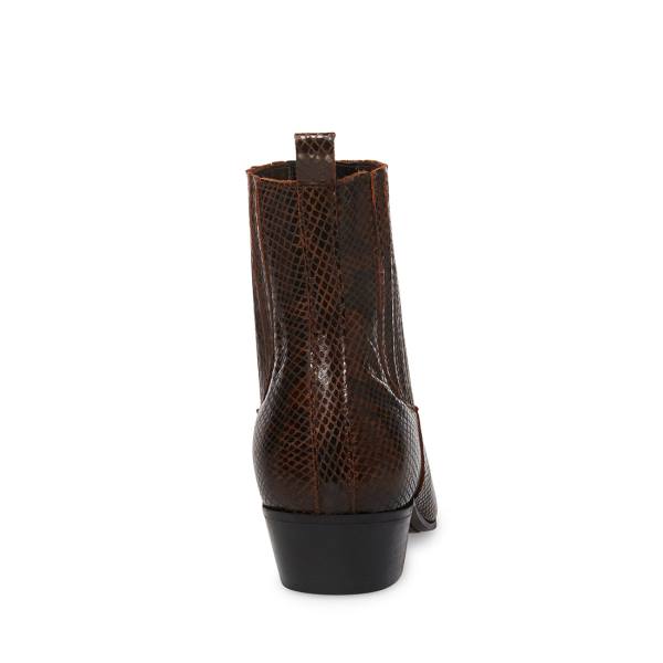 Steve Madden Pierre Snake Stövlar Herr Bruna Ormskinn | SM-518JU