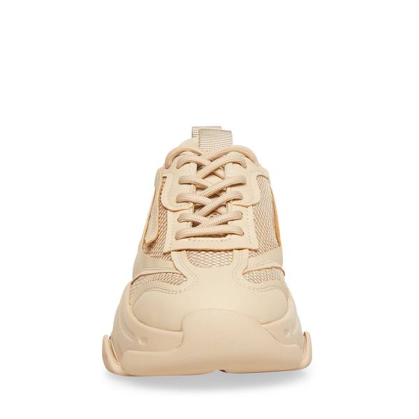 Steve Madden Possession Tan Sneakers Dam Bruna | SM-194FA