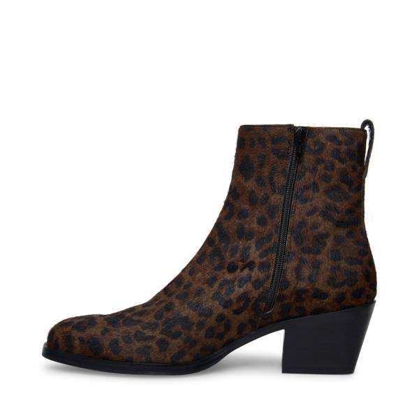 Steve Madden Richie Leopard Stövlar Herr Leopard | SM-794HO